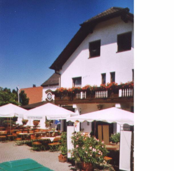 Gasthof / Pension Goetzfried Tegernheim Exterior photo